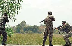 Bạo lực gia tăng