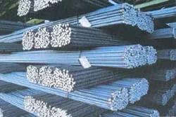 Kiểm điểm Tổng Công ty Thép Việt Nam