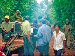 Bài 1: Cảnh sát vào cuộc, lâm tặc vẫn lộng hành ảnh 2