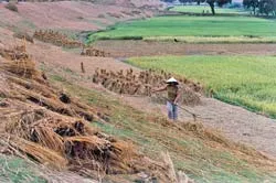 Nét đẹp làng nghề Đồng Kỵ