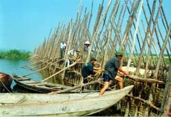 Thêm 100 tỷ đồng khắc phục hạn hán