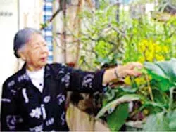 Nhớ nữ sĩ Anh Thơ