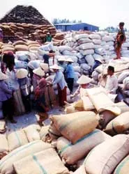 3 giảm để 3 tăng