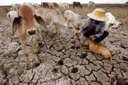 Làm mưa nhân tạo để cứu hạn