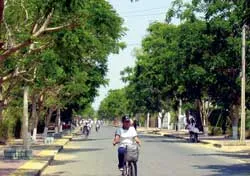 Cần Thạnh - thị trấn xanh