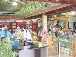 Xây dựng thương hiệu trà Bảo Lộc