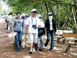 Lại “sốt” ảo!