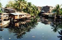 Bình Thạnh: Rải hóa chất ở 6 phường trọng điểm, muỗi giảm hẳn