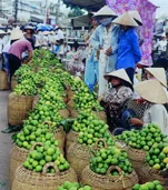 Chợ chanh Lương Quới