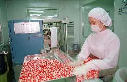 Thuốc nội: Làm gì để tăng thị phần?