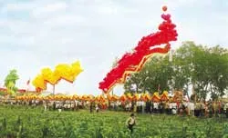 Day dứt Phủ Dầy