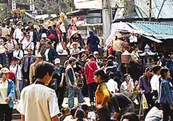 80 ngàn lượt du khách/tuần