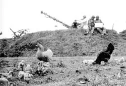 Chiến tranh và hòa bình kiểu Việt Nam