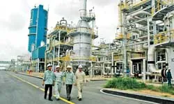 4 thương hiệu Việt hàng đầu ảnh 4