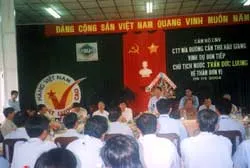 Mai vàng nở giữa mùa hè