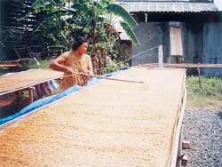 Muối Tây Ninh… đi Tây