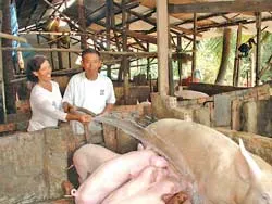 Chuyện thời bình của một kiện tướng diệt Mỹ