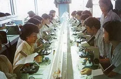 Sốt rét và nhóm nguy cơ