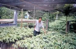 Người tạo giống “sầu riêng Chín Hóa”