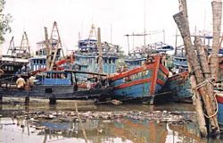 Hàng trăm tàu đánh cá ngưng hoạt động