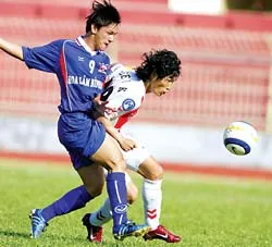 Hoa Lâm Bình Định – Busan L’park 0 - 4 ảnh 1