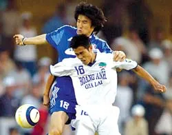 Hoa Lâm Bình Định – Busan L’park 0 - 4 ảnh 2