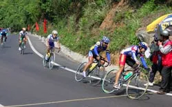 Nhà dột từ nóc ảnh 1