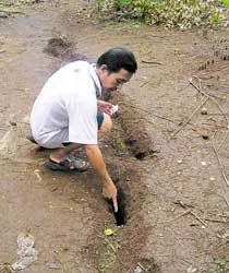 Chờ kết quả phân tích