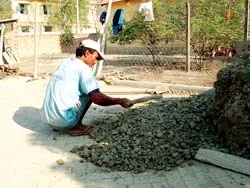 Báo SGGP  tham gia lập kỷ lục guinness