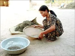 Báo SGGP  tham gia lập kỷ lục guinness ảnh 2