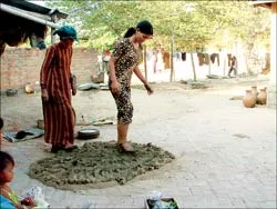 Báo SGGP  tham gia lập kỷ lục guinness ảnh 3