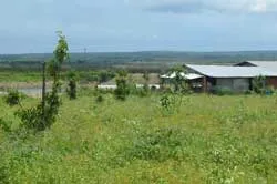 Xử lý 739 cá nhân về hành vi tham nhũng