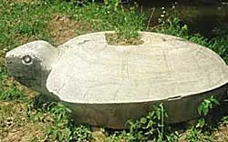 Phát hiện rùa đá cổ nặng trên 1 tấn