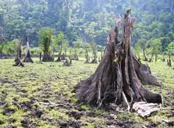 “Mắt ngọc” Hà Giang không còn lệ ảnh 2