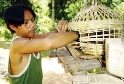 Những đứa trẻ bị lừa phỉnh