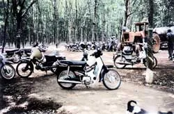 Bất ngờ ở miền vàng trắng ảnh 2