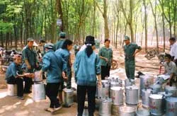 Bất ngờ ở miền vàng trắng