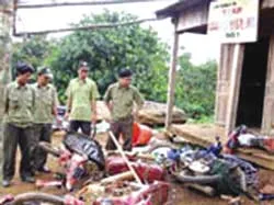 Khởi tố bị can 2 đối tượng cầm đầu