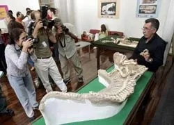 Phát hiện cá sấu hóa thạch thời tiền sử