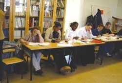 Niềm tự hào của người Thụy Điển ảnh 2