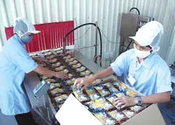 Tiếp diễn nạn phá rừng?