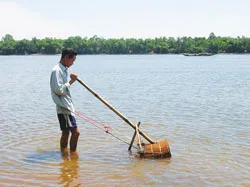 Đi cào chắt chắt