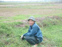 Tiền đền bù chưa đến tay, nước kênh Đông đã bị cắt