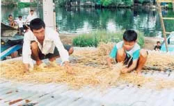 Biến cỏ tranh thành… tiền