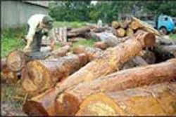 Phải giải trình việc để lâm tặc hoành hành