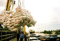 Có thể đạt 4 triệu tấn