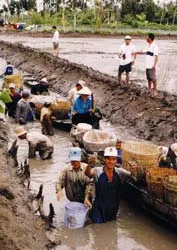 Nghề “ăn theo” tôm đang phất