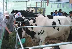 Khó khăn song hành cùng thời cơ ảnh 3