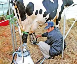 Khó khăn song hành cùng thời cơ ảnh 2