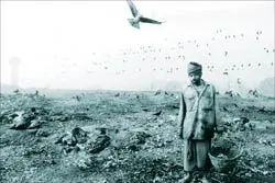 Đằng sau việc xóa nợ cho nước nghèo ảnh 1